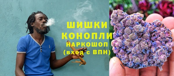 крисы Шали