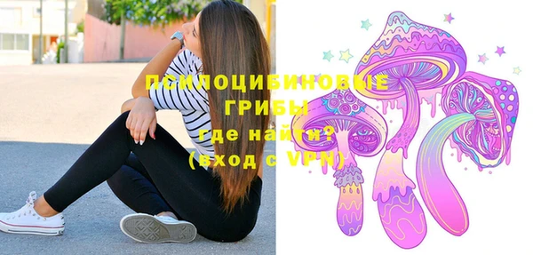 spice Костерёво