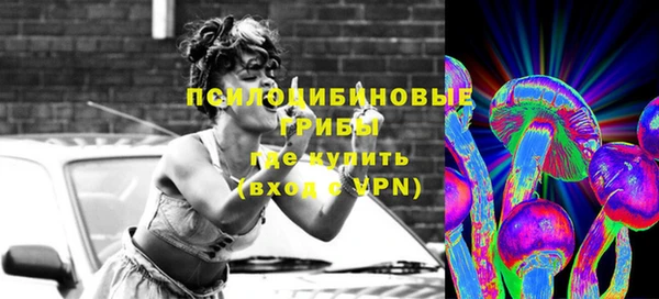 мескалин Коряжма