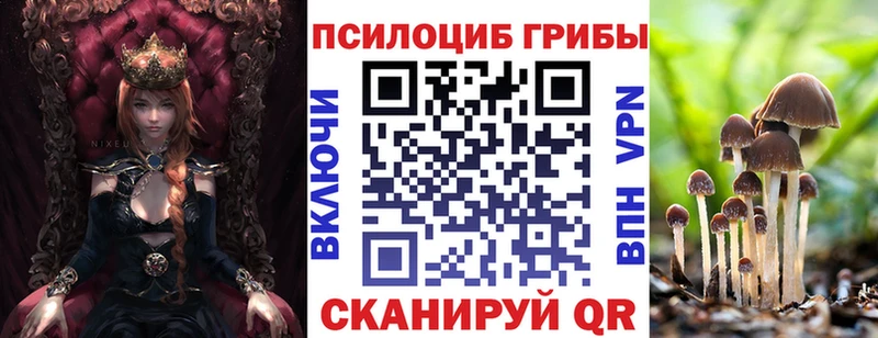 Галлюциногенные грибы прущие грибы  купить закладку  Арзамас 