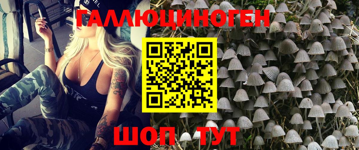 Псилоцибиновые грибы Magic Shrooms Арзамас