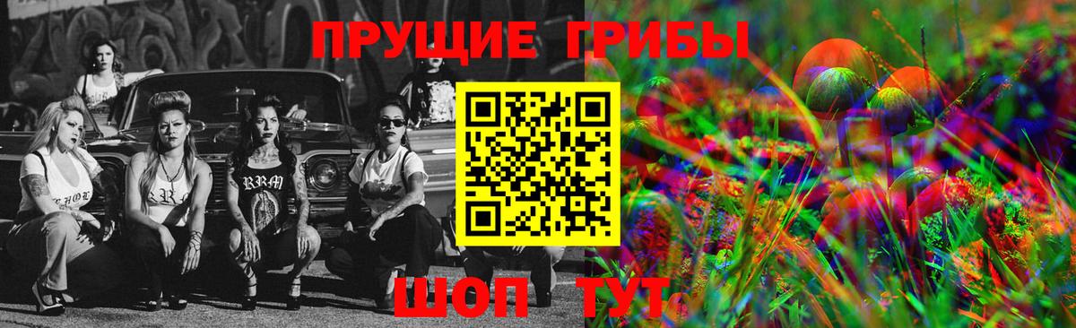 Псилоцибиновые грибы Psilocybine cubensis  Вход с VPN  Псилоцибиновые грибы Psilocybe  Арзамас 