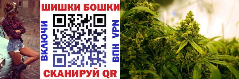 Канабис гибрид  Арзамас 